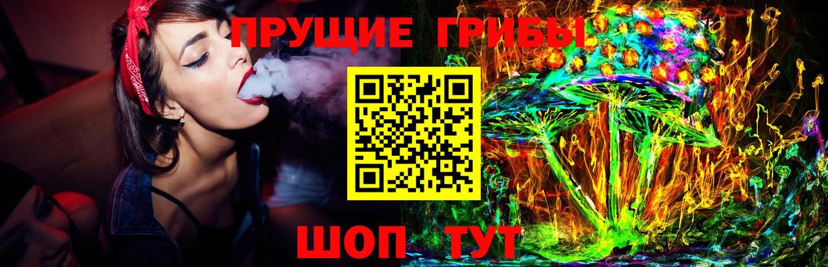 как найти наркотики  Вход с VPN  Балтийск  Псилоцибиновые грибы ЛСД 